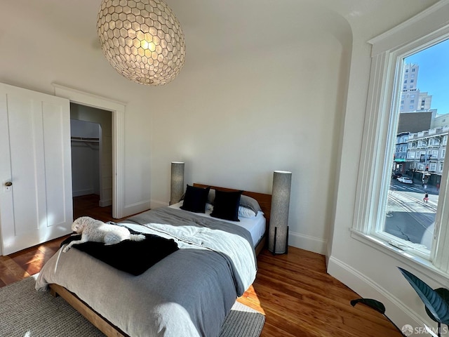 bedroom featuring a walk in closet, dark hardwood / wood-style flooring, and a closet