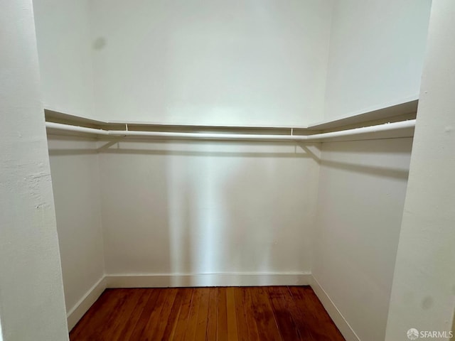 walk in closet with wood-type flooring