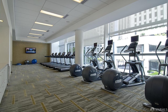 301 Mission St Unit 39A, San Francisco, CA 94105 - exercise room featuring carpet and plenty of natural light