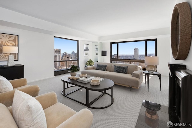 living room featuring baseboards, a view of city, and carpet flooring