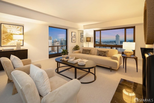 carpeted living area with a city view