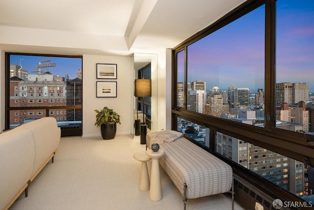 living area with a city view, carpet flooring, baseboards, and expansive windows