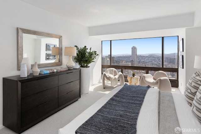 bedroom featuring a city view and light carpet