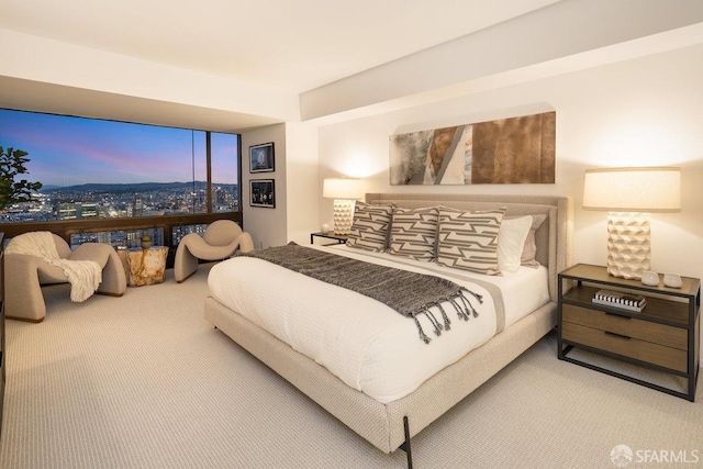 view of carpeted bedroom