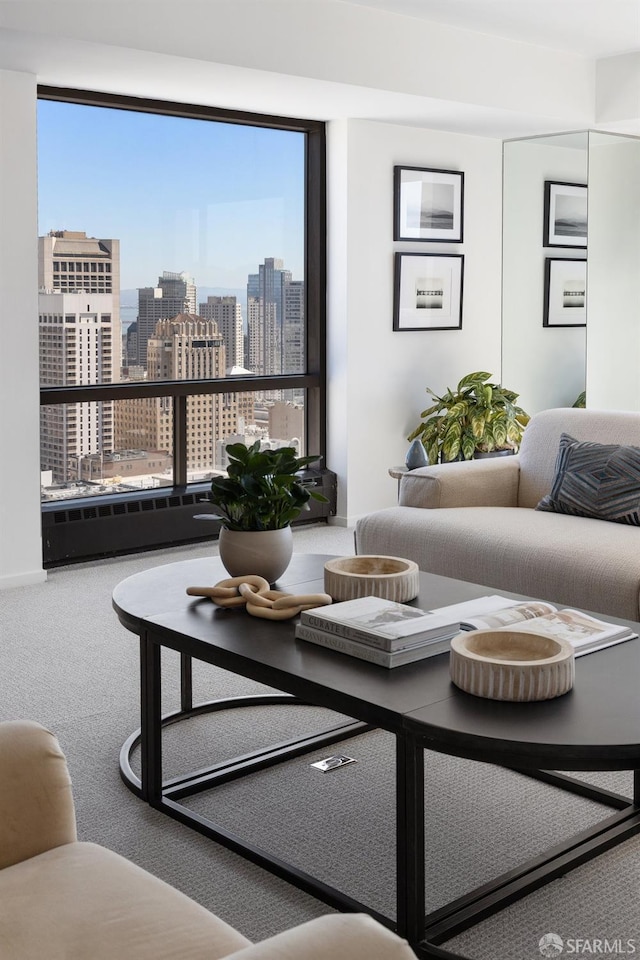 carpeted living area with a city view