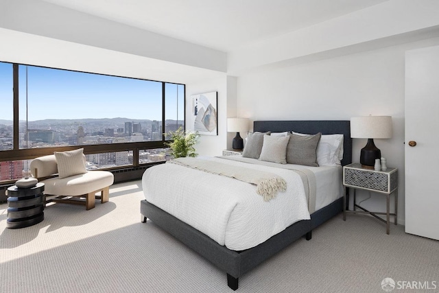 bedroom with a city view and carpet floors