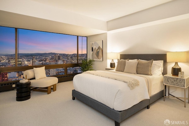 carpeted bedroom with a city view