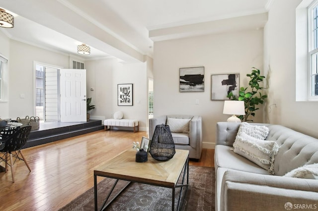 living room featuring plenty of natural light, crown molding, and wood finished floors
