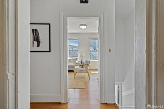 32-34 Gough St, San Francisco, CA 94103 - hall with light wood finished floors and baseboards