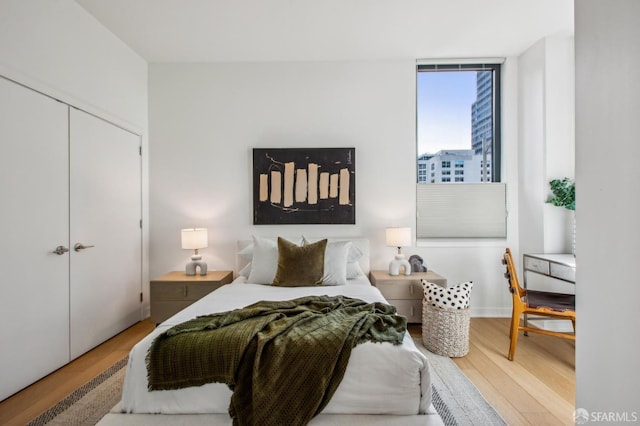 bedroom with a closet, a city view, and wood finished floors