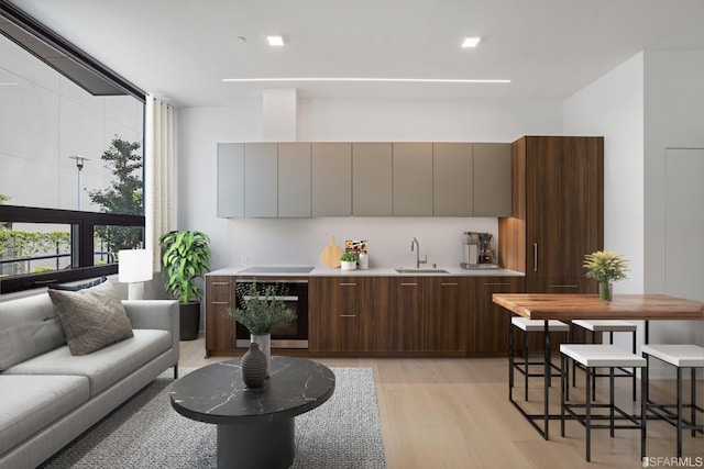 kitchen with dark brown cabinetry, light hardwood / wood-style floors, sink, and stainless steel oven