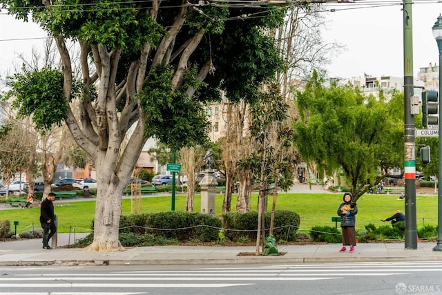 surrounding community with a yard