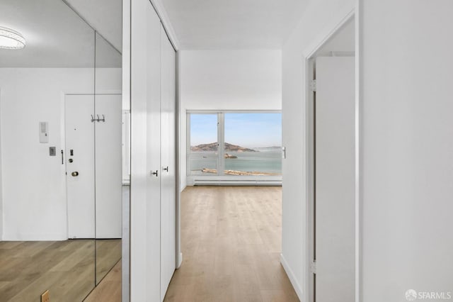 hall featuring light hardwood / wood-style flooring