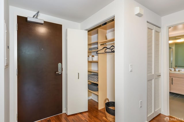 closet with a sink