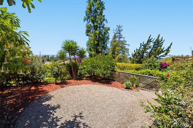 4551 Fairbairn Ave, Oakland, CA 94619 - view of yard with a patio area