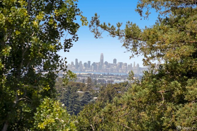 4551 Fairbairn Ave, Oakland, CA 94619 - view of city skyline