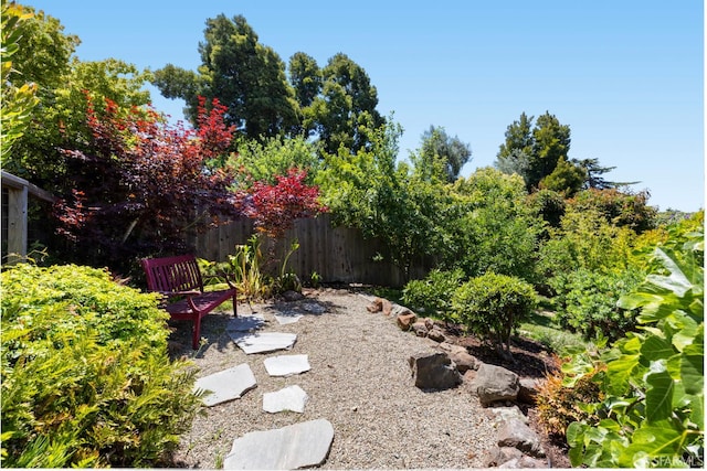 4551 Fairbairn Ave, Oakland, CA 94619 - view of yard