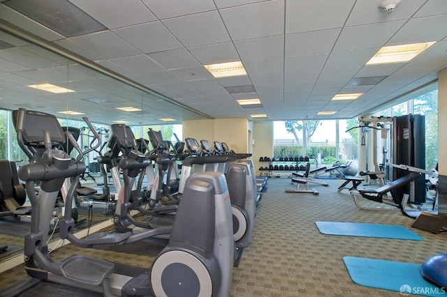 gym featuring carpet floors, plenty of natural light, and expansive windows