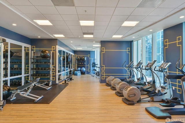 gym with hardwood / wood-style flooring, a drop ceiling, and floor to ceiling windows