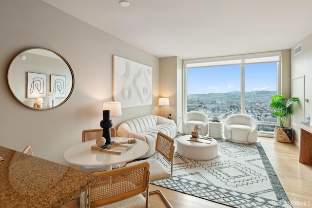 living area with light wood-type flooring, a mountain view, and expansive windows