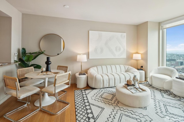 living room with hardwood / wood-style flooring