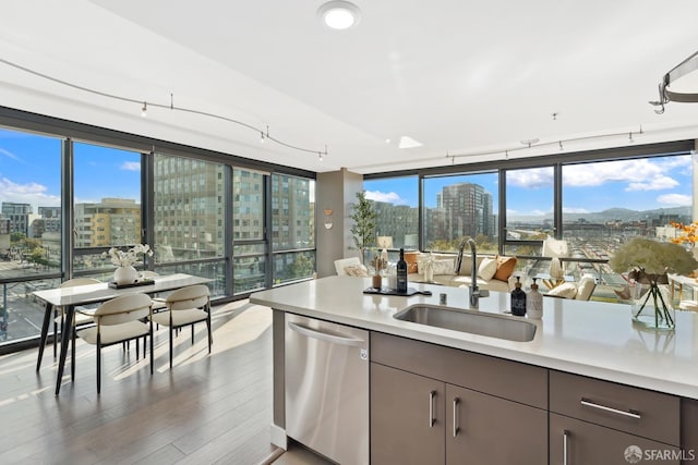 kitchen featuring dark brown cabinetry, dishwasher, sink, expansive windows, and dark hardwood / wood-style floors