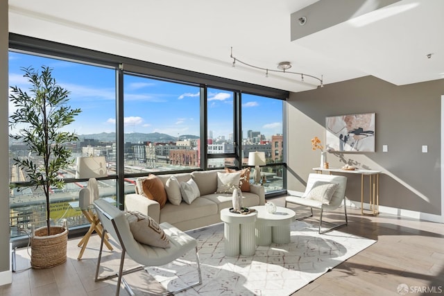 living room featuring expansive windows and light wood-type flooring