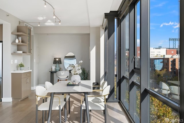 dining area with light hardwood / wood-style floors