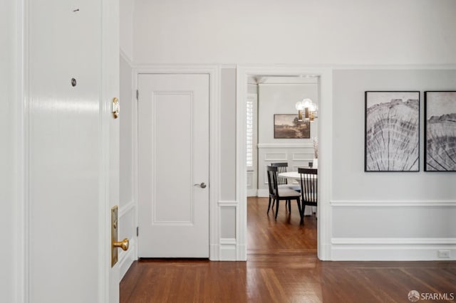 hallway with dark wood-style floors