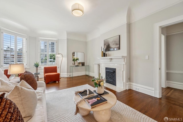 living room with baseboards, wood finished floors, and a premium fireplace