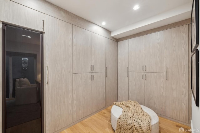 spacious closet with light hardwood / wood-style flooring