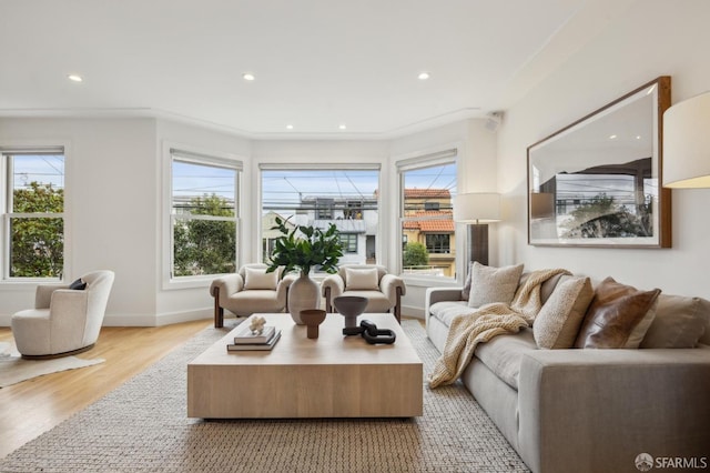 living room with light hardwood / wood-style flooring