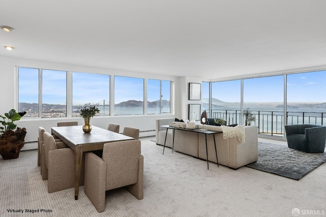 1080 Chestnut St Unit 11C, San Francisco, CA 94109 - living room featuring a water and mountain view, carpet, and a baseboard radiator