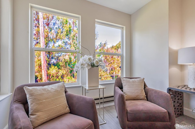 2225 23rd St Unit 318, San Francisco, CA 94107 - living area with a baseboard radiator, wood finished floors, and plenty of natural light