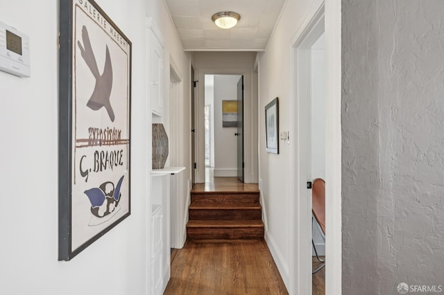 1007 Portola Dr, San Francisco, CA 94127 - photo 34