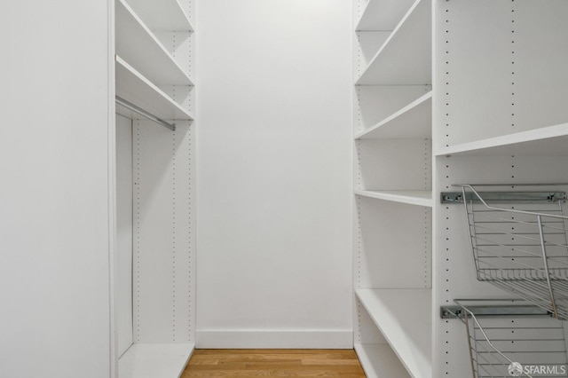 spacious closet with wood-type flooring