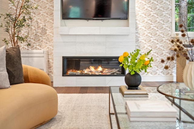 living area featuring wood finished floors and a fireplace