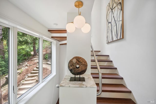 stairs featuring wood finished floors