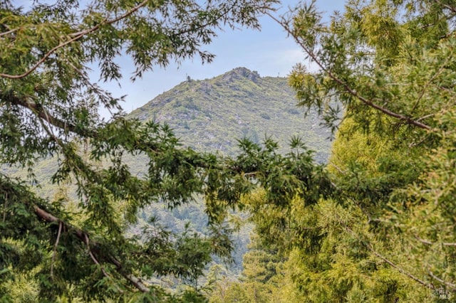 view of mountain feature
