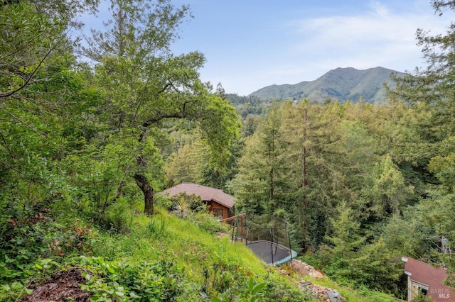 mountain view with a wooded view