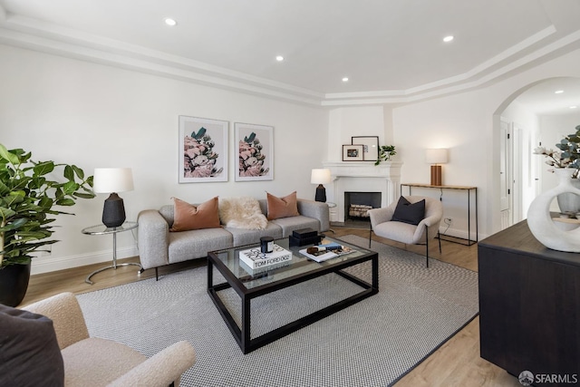 living area featuring light wood-style floors, arched walkways, a tray ceiling, and a large fireplace