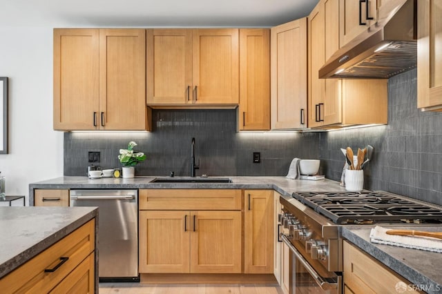 kitchen featuring under cabinet range hood, dark stone countertops, a sink, tasteful backsplash, and stainless steel appliances