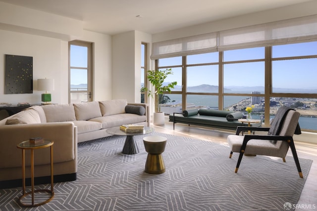 living room featuring a mountain view and wood finished floors