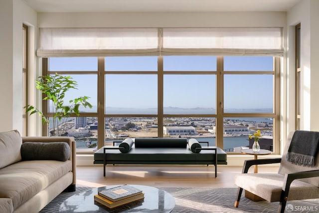 living room featuring a water view, wood finished floors, and a wall of windows