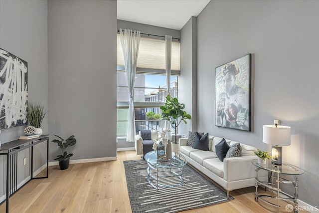 living room featuring light hardwood / wood-style floors