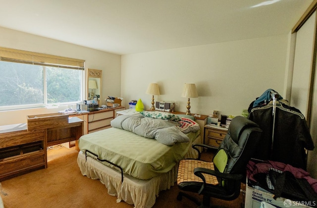 view of carpeted bedroom