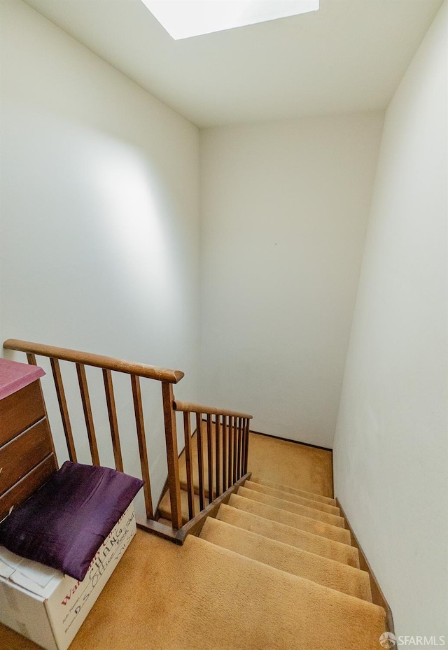 stairway with carpet floors