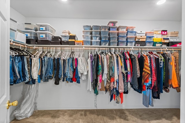walk in closet with carpet
