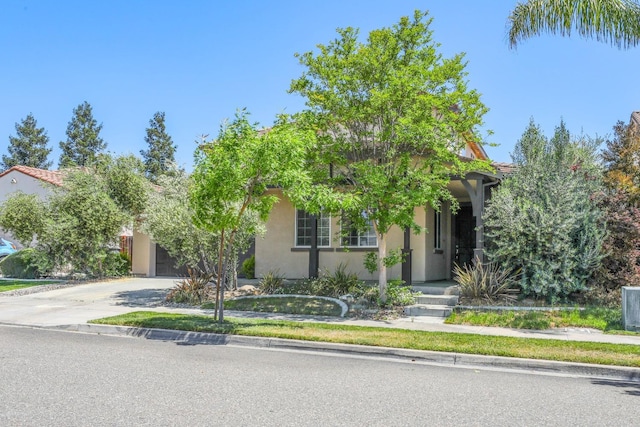 549 Fresian Dr, Oakdale, CA 95361 - view of property hidden behind natural elements featuring stucco siding and driveway