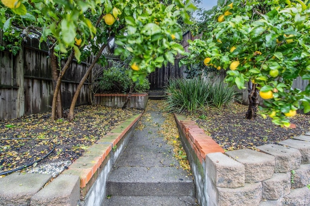 view of yard featuring fence